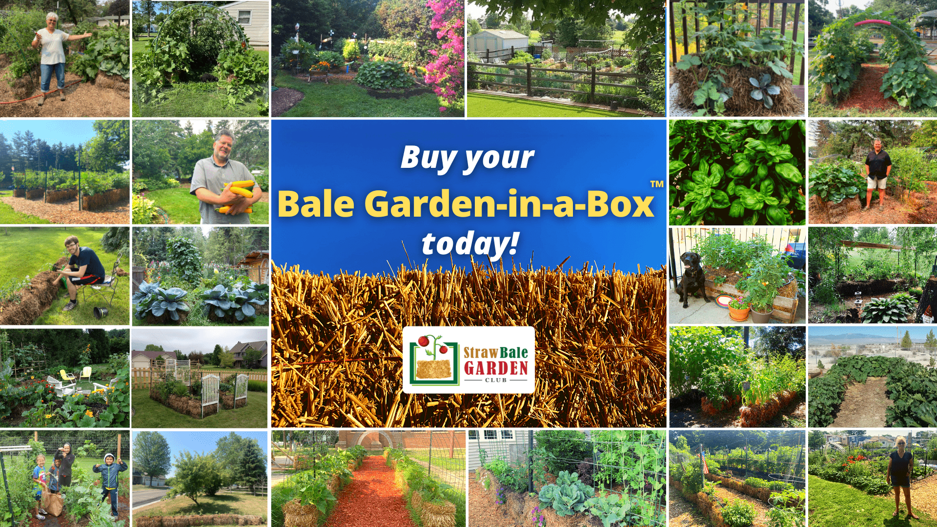 Where can I get straw bales? Straw Bale Garden Club